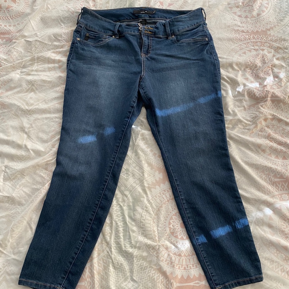 Torrid Jeans